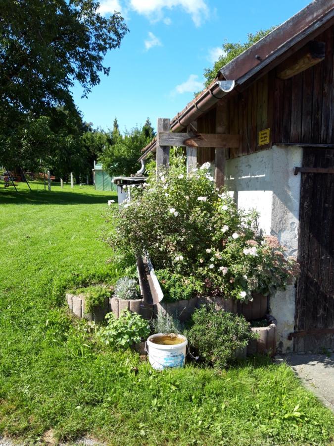 Ferienwohnung Im Seidlerhof Mit Balkon Und Garten 洛恩巴赫 外观 照片