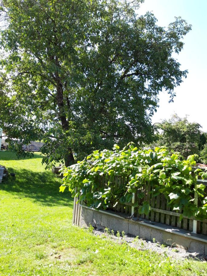 Ferienwohnung Im Seidlerhof Mit Balkon Und Garten 洛恩巴赫 外观 照片