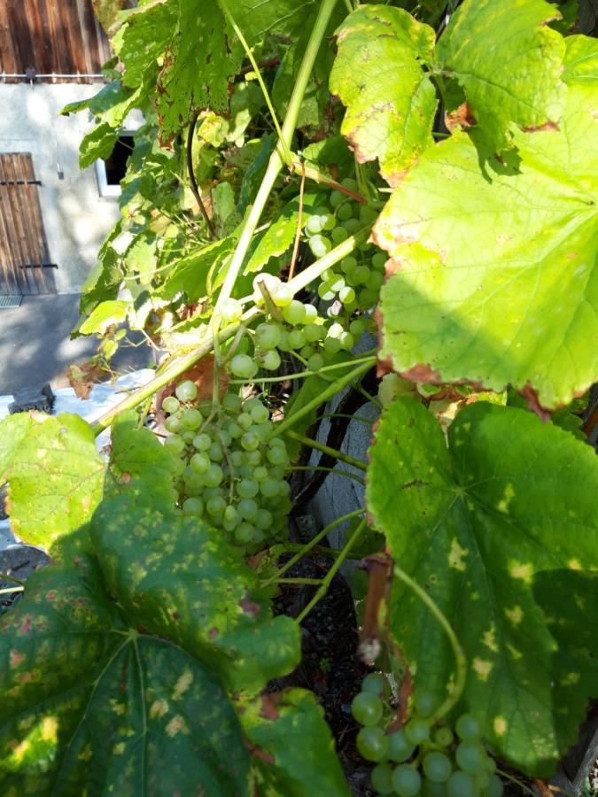Ferienwohnung Im Seidlerhof Mit Balkon Und Garten 洛恩巴赫 外观 照片