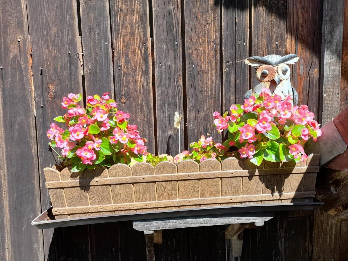 Ferienwohnung Im Seidlerhof Mit Balkon Und Garten 洛恩巴赫 外观 照片