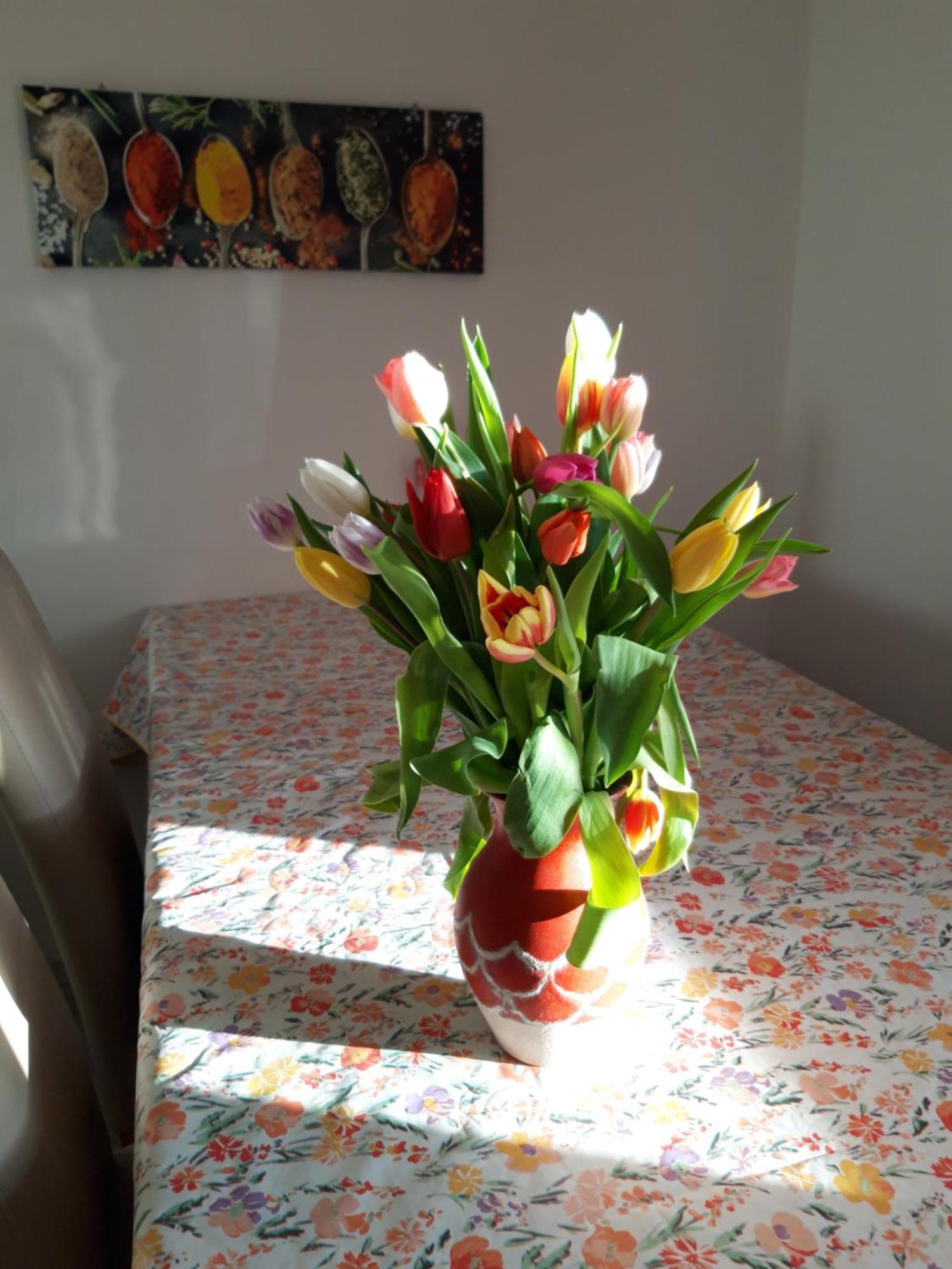 Ferienwohnung Im Seidlerhof Mit Balkon Und Garten 洛恩巴赫 外观 照片